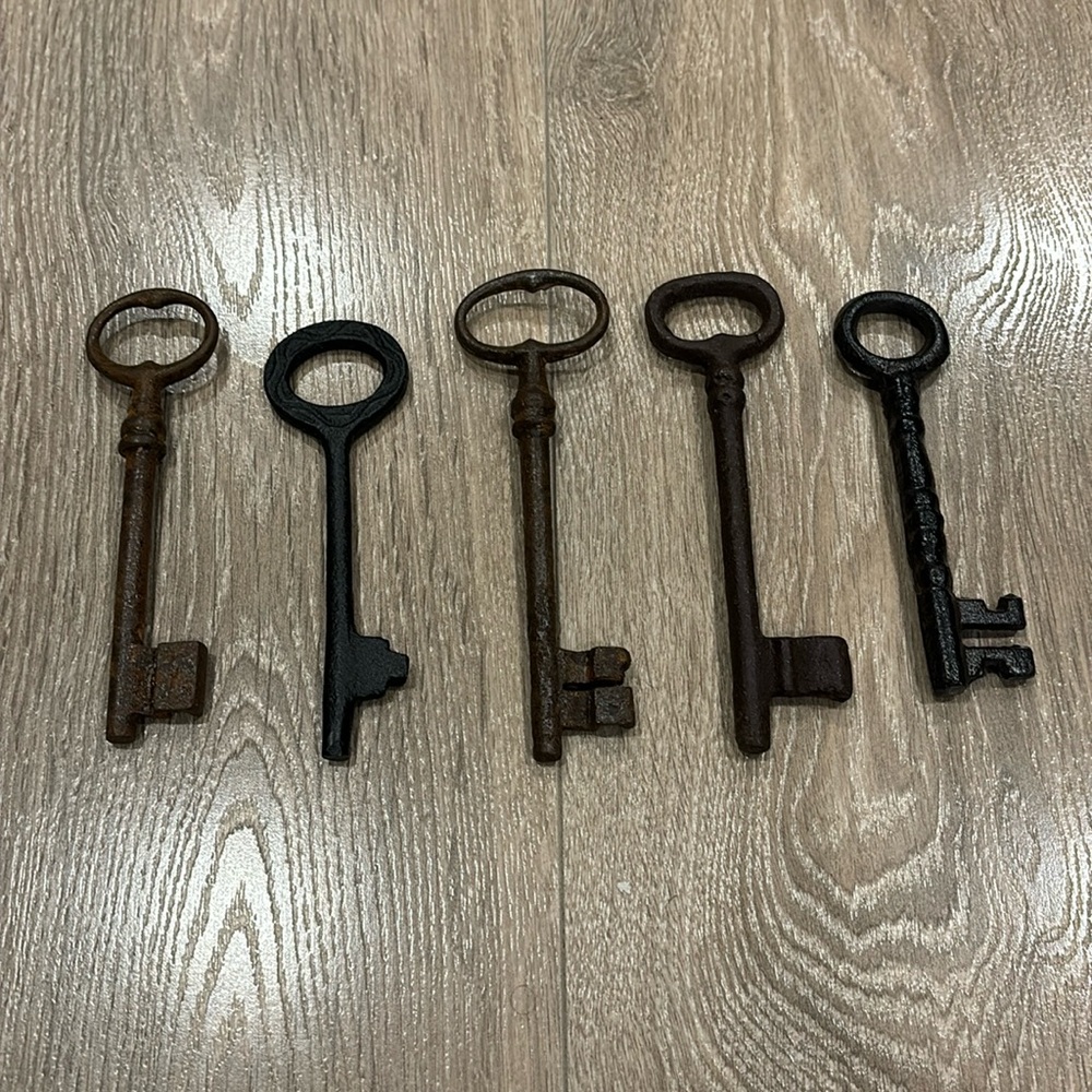 A bundle of 5 metal keys $12 add on